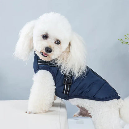 Wind- and Waterproof Jacket for Dogs with Harness