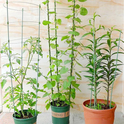 Plant Climbing Support Frame - Sturdy Ring Frame for Vining and Climbing Plants