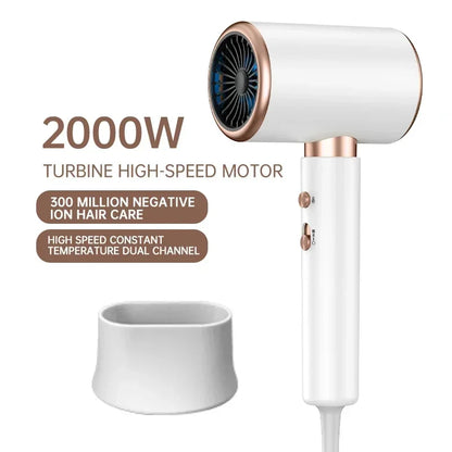 Professional 2400W Ionic Hair Dryer With Hot & Cold Air Function