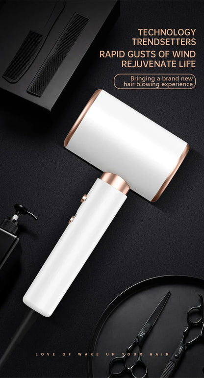 Professional 2400W Ionic Hair Dryer With Hot & Cold Air Function