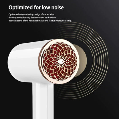 Professional 2400W Ionic Hair Dryer With Hot & Cold Air Function