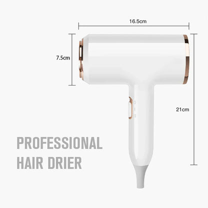 Professional 2400W Ionic Hair Dryer With Hot & Cold Air Function