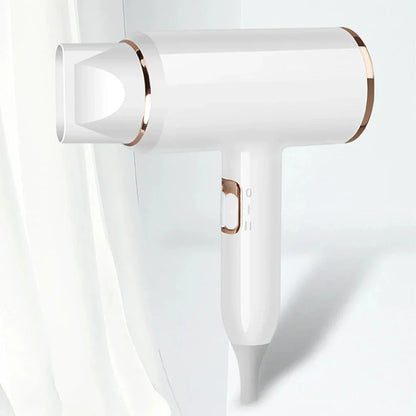 Professional 2400W Ionic Hair Dryer With Hot & Cold Air Function
