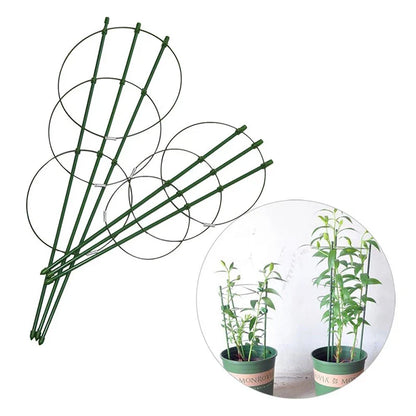 Plant Climbing Support Frame - Sturdy Ring Frame for Vining and Climbing Plants