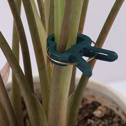 Plant Support Clip Set – Adjustable Garden Loops for Plant Care and Growth Support