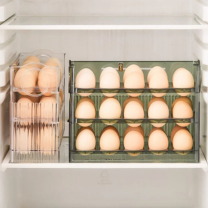 Egg Storage Organizer