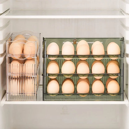 Egg Storage Organizer