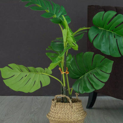 Animal-Shaped Plant Clips – Decorative Support for Garden and Indoor Plants