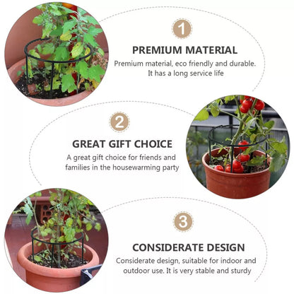 Plant Climbing Support Cage - Sturdy Structure for Enhanced Growth and Stability
