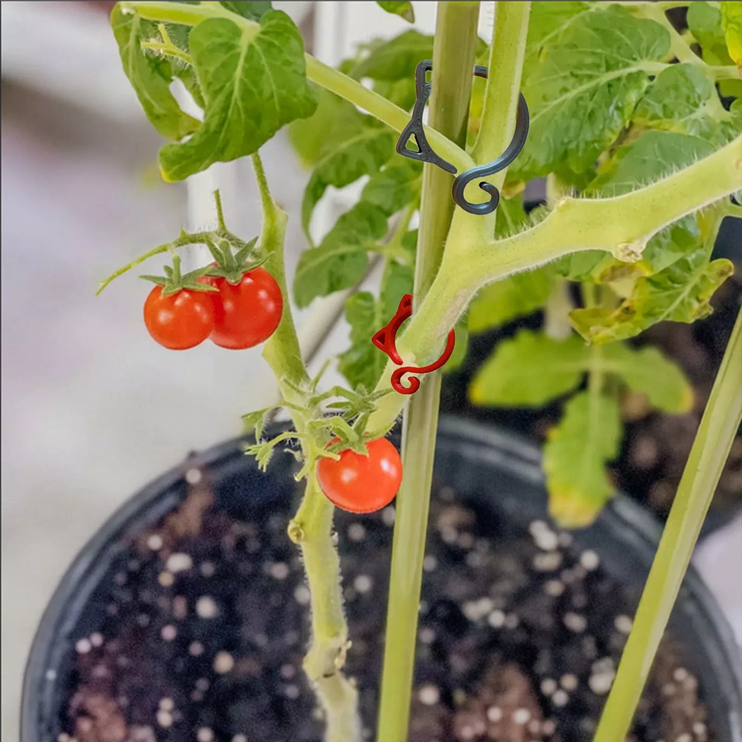 Animal-Shaped Plant Clips – Decorative Support for Garden and Indoor Plants
