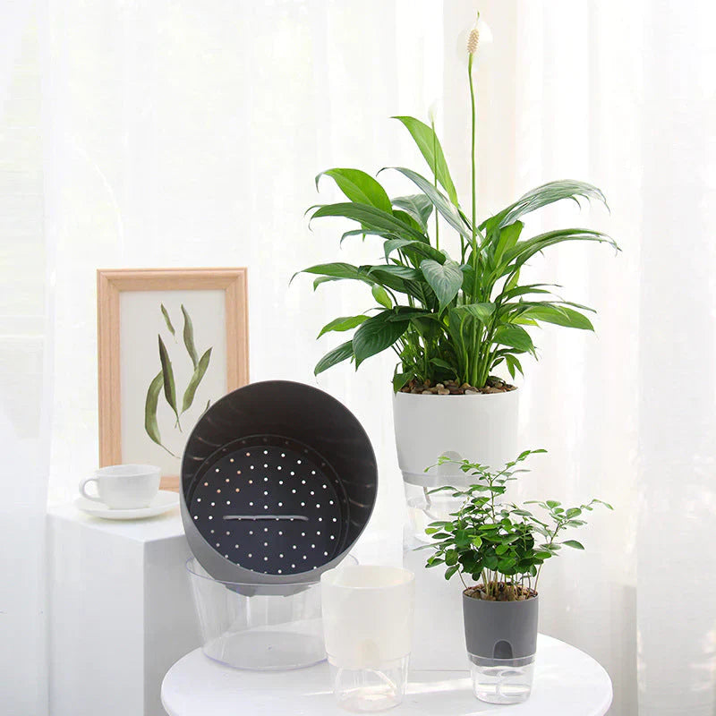Self-Watering Plant Pot